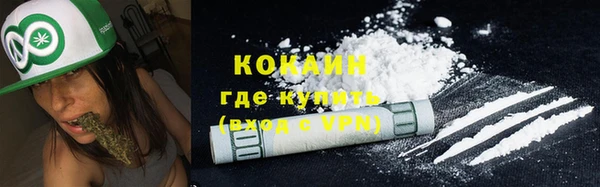 ПСИЛОЦИБИНОВЫЕ ГРИБЫ Алексин