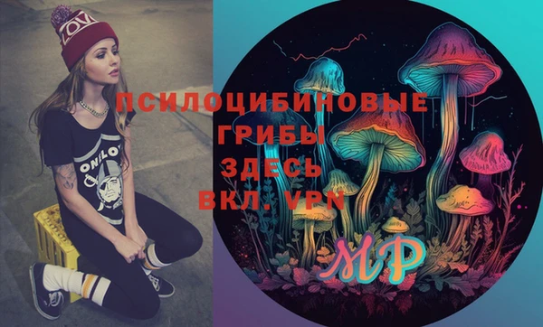 a pvp Алзамай