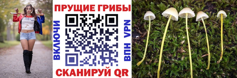 hydra рабочий сайт  Биробиджан  Псилоцибиновые грибы Cubensis 