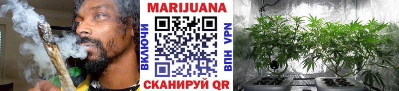 дарнет шоп Биробиджан Бошки Шишки MAZAR